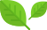  leaves image